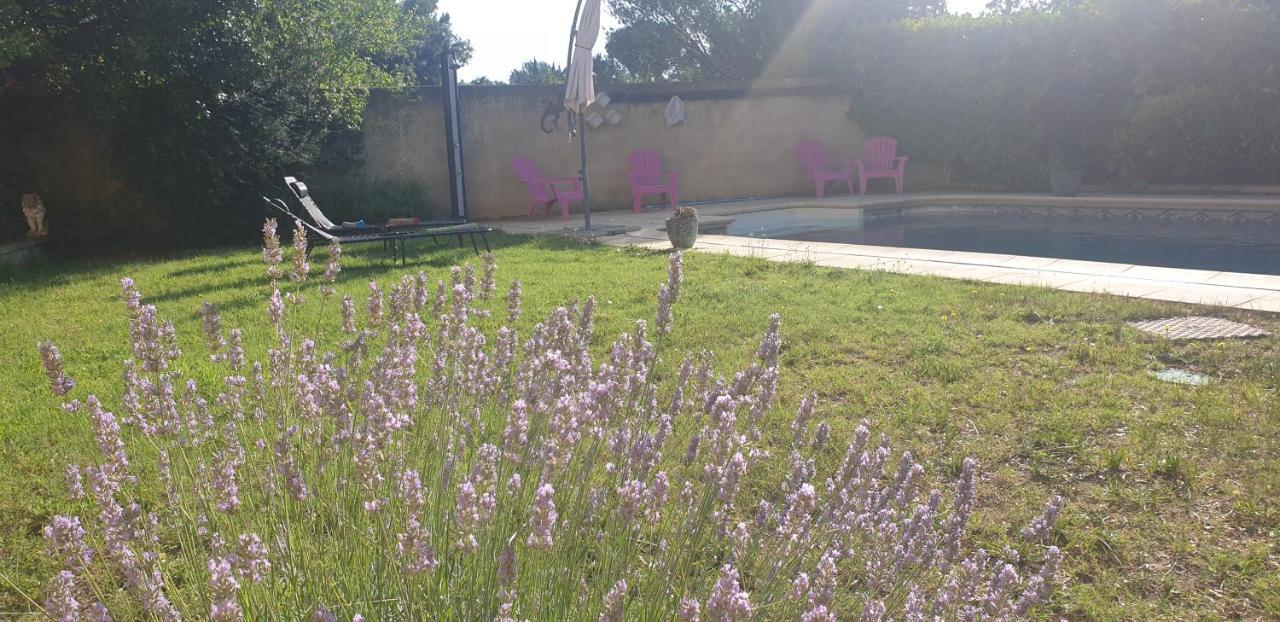 La Vigne Et L'Olivier Daire Villeneuve-lès-Avignon Dış mekan fotoğraf